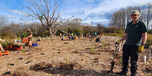The Groynes - \u014ctukaikino River Community Planting Day