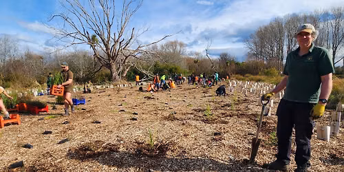 The Groynes - \u014ctukaikino River Community Planting Day