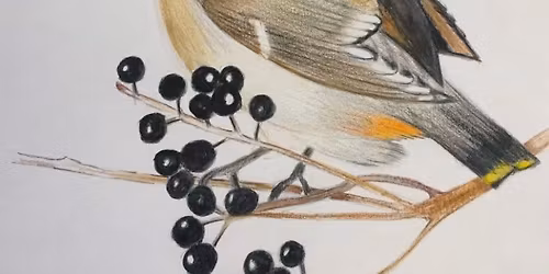 Watercolour Pencil Creations. \u00a318 Lancaster area