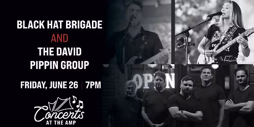Black Hat Brigade and The David Pippin Group