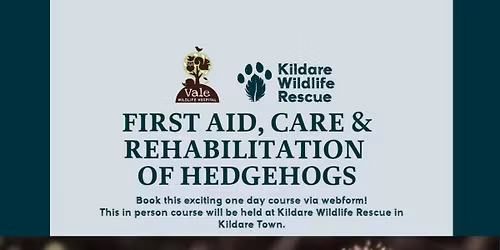 Basic First Aid, Care & Rehabilitation of Hedgehogs 