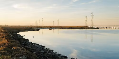 Walk with a Doc - Baylands Nature Preserve
