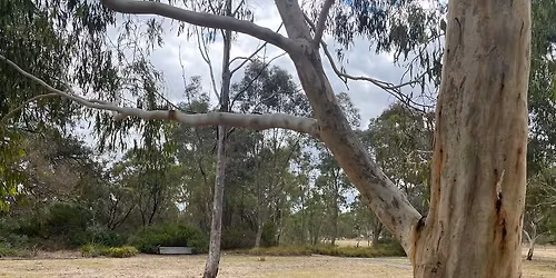 December Outdoor Sketching and Painting