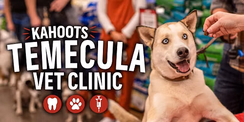 Low Stress Vet Clinic & Teeth Cleaning