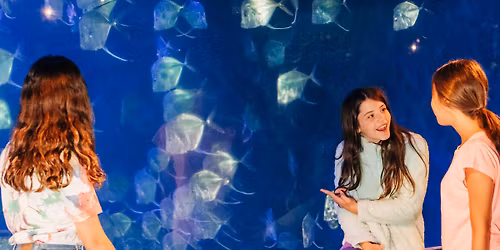 Oceans of Opportunities: Middle School Career Day 