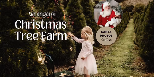 Opening Day! Whangarei Christmas Tree Farm