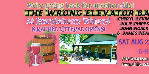 The Wrong Elevator Band Rides the Floors at Brandeberry Winery!
