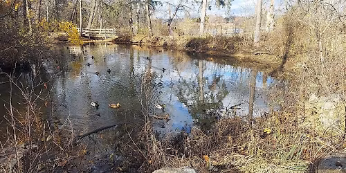 Catherine Chevalier Woods walk