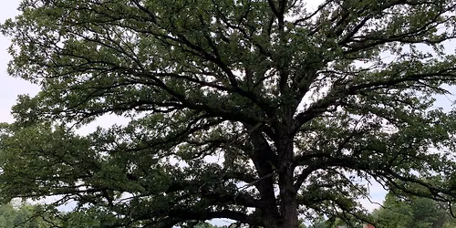 Retzer Nature Center Master Naturalist Training