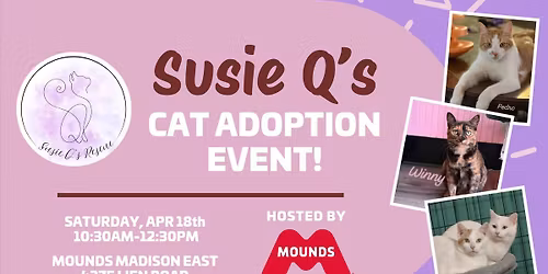 Cat Adoption Event with Susie Q's!