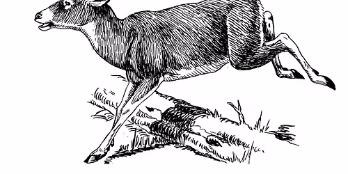 2nd Annual Buck Pole