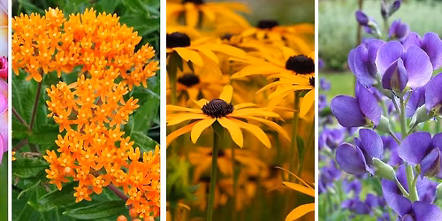 Tulsa Zoo Plant Sale