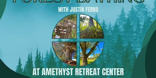 Forest Bathing *Campfire Edition*