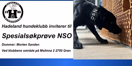 Spesials\u00f8kpr\u00f8ve NSO p\u00e5 Hadeland