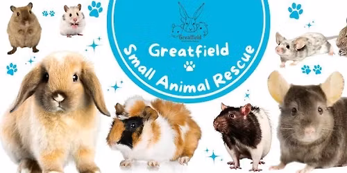 St Peters Christmas Fayre