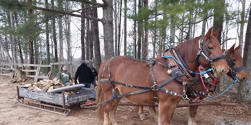 2026 North American Suffolk Punch Association annual meeting.