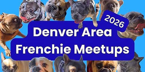 Denver Area Frenchie Meetups - September 