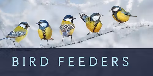 Bird Feeders-Workshop