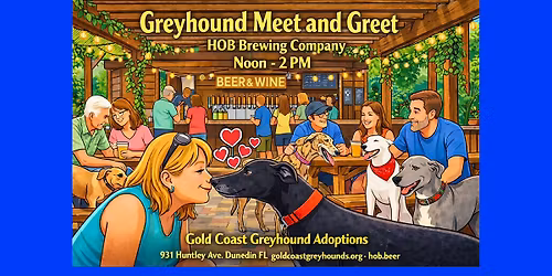 Greyhound Meet and Greet at HOB Brewing Company