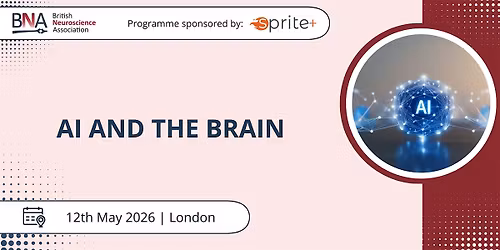AI and the Brain