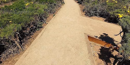 Point Dume Volunteer Weeding - California State Parks