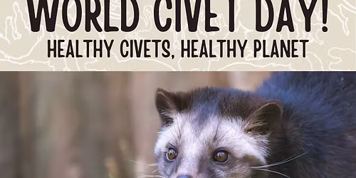 World Civet Day