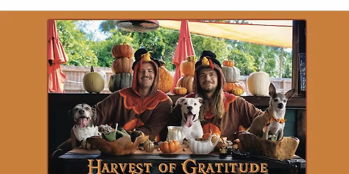 7th Annual Harvest of Gratitude Festival!