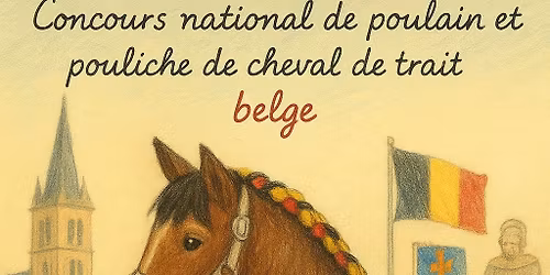 Concours national de poulain et pouliche de trait belge