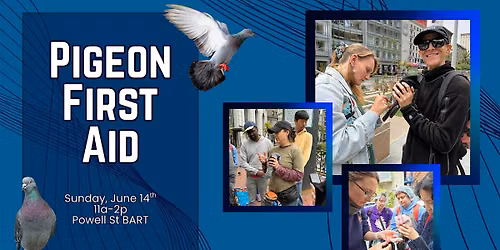 Pigeon First Aid & Companion Animal Care