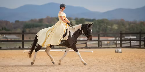 Double Edge Dressage Shows #6
