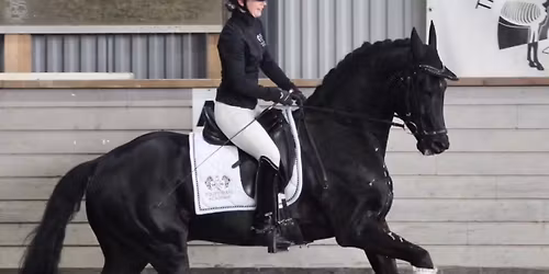 Silje Bjørnvik trening 
