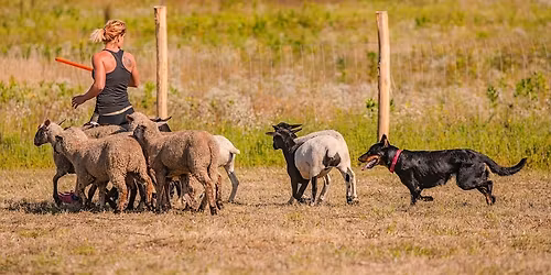 CACTR Terel\u0151verseny, TKV, NHAT, HWT