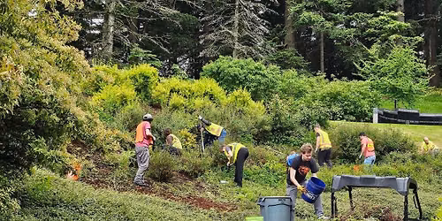 Saturday Crew: No Ivy Day!
