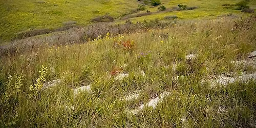 Great Plains Paint Night