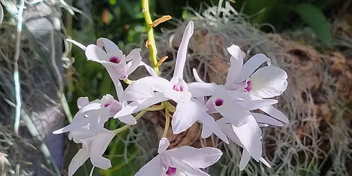 January-2026 Bethesda Ladies Dinner