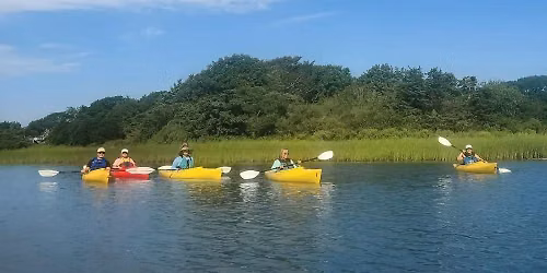 Kayak Tour
