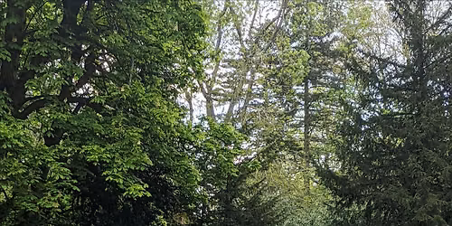 Group Therapy Walk in Cannon Hill Park, Birmingham