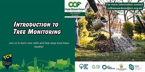 Introduction to Tree Monitoring in Motherwell with CCF Tree Wardens