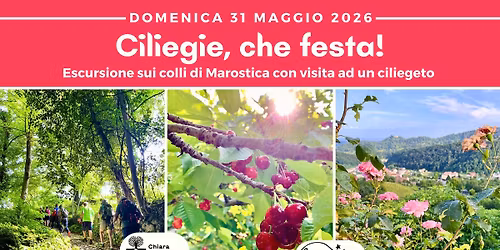 CILIEGIE, CHE FESTA! | Escursione sui colli di Marostica con raccolta ciliegie