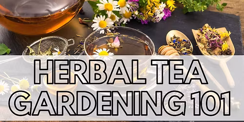 Ages 16+: Herbal Tea Gardening 101
