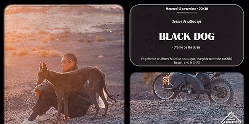 Black Dog \u2022 S\u00e9ance de rattrapage