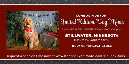 Limited Edition Dog Holiday Mini Sessions