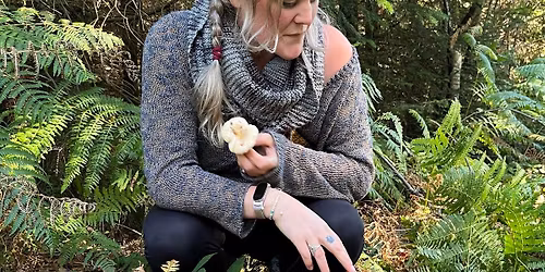 Spring Edibles and Medicinals