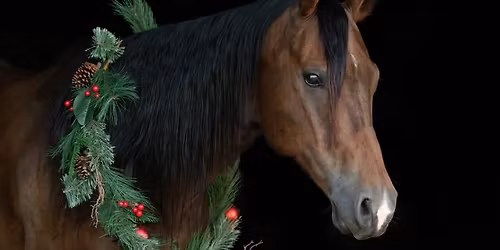 The Christmas Kids Show