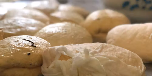 HALLOUMI HEAVEN-Cheese Making & Food Tasting Tour-Troodos Mountains leaving from Paphos