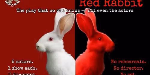 White Rabbit Red Rabbit Auditions