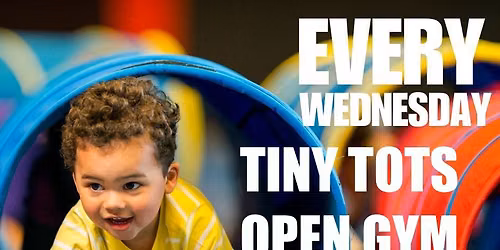 Tiny Tots Open Gym