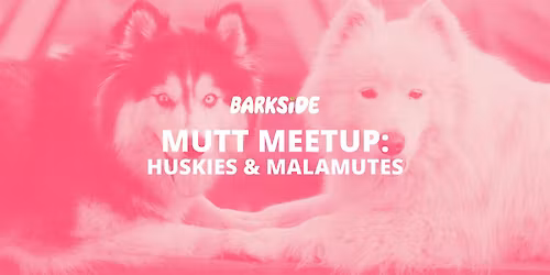 Mutt Meetup: Huskies & Malamutes