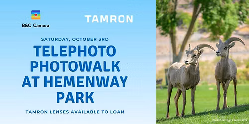 Tamron Presents: Telephoto Photowalk at Hemenway Park