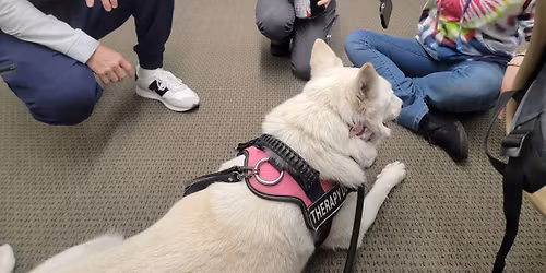 Black Fur-day at TSC